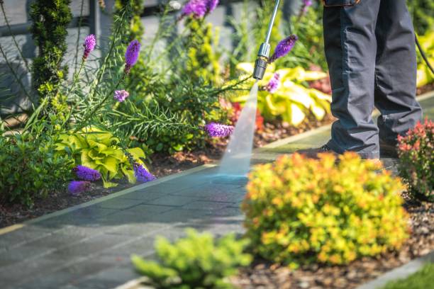 Best Commercial Pressure Washing in Henderson, GA