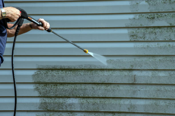 Best Roof Cleaning and Mildew Removal in Henderson, GA
